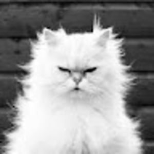 Meet your Posher, Jeanne